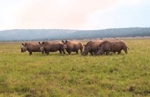 Rwanda Safari - 1 Day Akagera Big Five Safari from Kigali