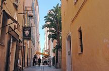 Day Trip to Corsica Tour Experience