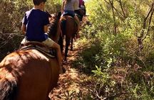 Quilombo Visit with Horse Backriding in Beach and Waterfall Tour