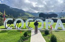 Cocora Valley Shared Tour