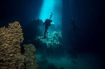 Crete: Scuba Diving for Certified Divers in Chania