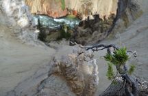 Grand Canyon of Yellowstone Hiking Adventure Full Day with Lunch