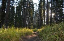 Grand Canyon of Yellowstone Hiking Adventure Full Day with Lunch
