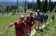 Grand Canyon of Yellowstone Hiking Adventure Full Day with Lunch