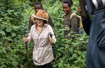 3 Days Gorilla Trekking In Uganda From Kigali 
