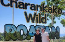 Roatan Highlights Private Guided Tour in a 4 Seater SUV