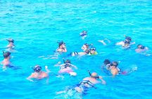 Cabo Catamaran Cruise – Arch, Snorkeling, Open Bar & Snacks