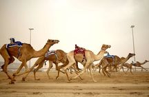 Zekreet Richard Serra Mushroom Rocks West Coast Tour 