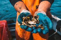 Private West Passage Oyster Tasting Aquaculture Tour