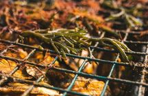 Private West Passage Oyster Tasting Aquaculture Tour