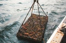 Private West Passage Oyster Tasting Aquaculture Tour