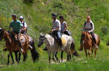 Alanya Horseback Riding Experience