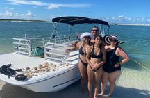 Private 4 Hour Shell Key Island Adventure Dolphins and Shells