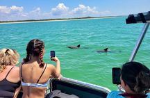 Private 4 Hour Shell Key Island Adventure Dolphins and Shells