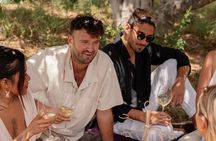 Cape Town: Private Vineyard Horseback Riding with Wine Picnic