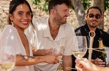 Cape Town: Private Vineyard Horseback Riding with Wine Picnic