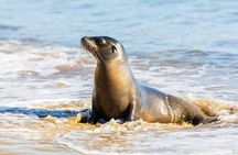 Galapagos the Enchanted Islands 5 Days Private Adventure