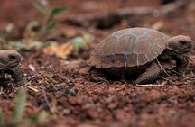 Galapagos the Enchanted Islands 5 Days Private Adventure