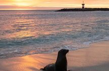 Galapagos the Enchanted Islands 5 Days Private Adventure