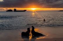 Galapagos the Enchanted Islands 5 Days Private Adventure
