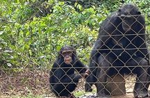 Visit the Ebogo site and Méfou Park from Yaoundé