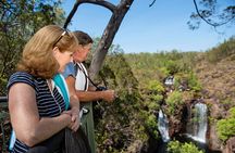 1 Day Litchfield Waterfalls Tour