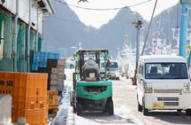 Tuna Auction Market Guided Private Tour in Nachi-Katsuura