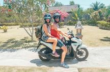 Visit Negombo by Scooty - All Inclusive