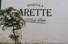 Private Tour to Tequila with Tequila Arette Tasting