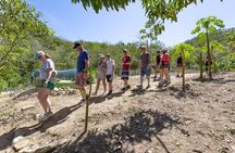 Hiking Adventure in Puerto Vallarta