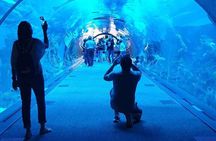 Dubai Aquarium Underwater Zoo Penguin Cove Ticket with options