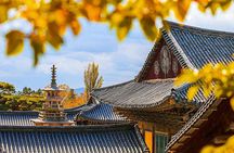 7 Highlights Gyeongju City One Day Tour from Busan