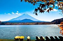 From Tokyo Mt. Fuji and Hakone Sightseeing Private Day Trip 