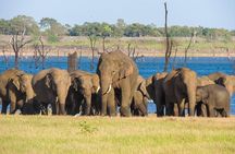 Minneriya Or Kaudulla Safari from Sigiriya