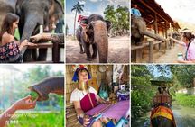 Classic Thailand Tour - Join in Day Tour