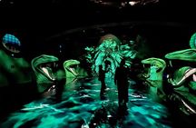 Singapore Harry Potter: Visions of Magic Tickets