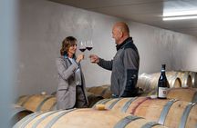 Barolo Tasting and Vineyard Tour and Winery Visit 