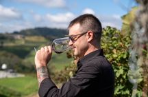 Barolo Tasting and Vineyard Tour and Winery Visit 