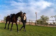 Dubai Al Marmoom Oasis Horse Riding Experience with Snack