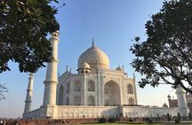Taj Mahal, Agra Fort and Baby Taj Day Trip from Agra by Car