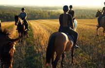 Horseback Riding in the Landscape