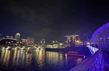 Private Night Tour : Garden by the Bay, River Cruise & Light Show