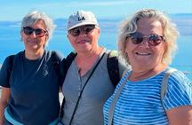 Table Mountain Half Day Tour with Cable Cart Experience