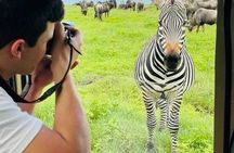 8 days of Safari and Beach Holiday In Tanzania and Zanzibar