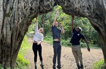 4 Day Budget Meru Trekking Momella Route