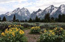 Grand Teton National Park Tour
