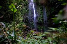 Cloud Forest and Hidden Waterfall Hike in Santiago Atitlan 