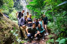 Cloud Forest and Hidden Waterfall Hike in Santiago Atitlan 