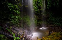 Cloud Forest and Hidden Waterfall Hike in Santiago Atitlan 