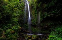 Cloud Forest and Hidden Waterfall Hike in Santiago Atitlan 